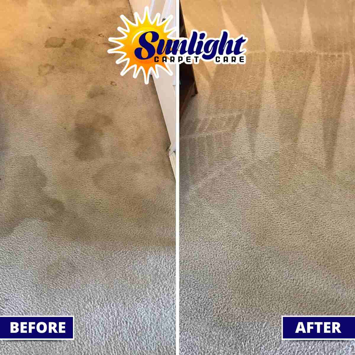 Affordable, High-Quality Carpet Cleaning in Santa Maria