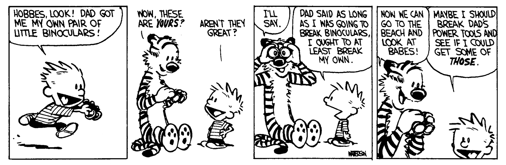 Calvin and Hobbes