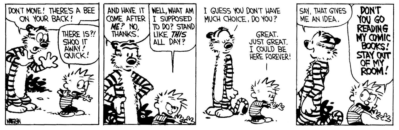 Calvin and Hobbes