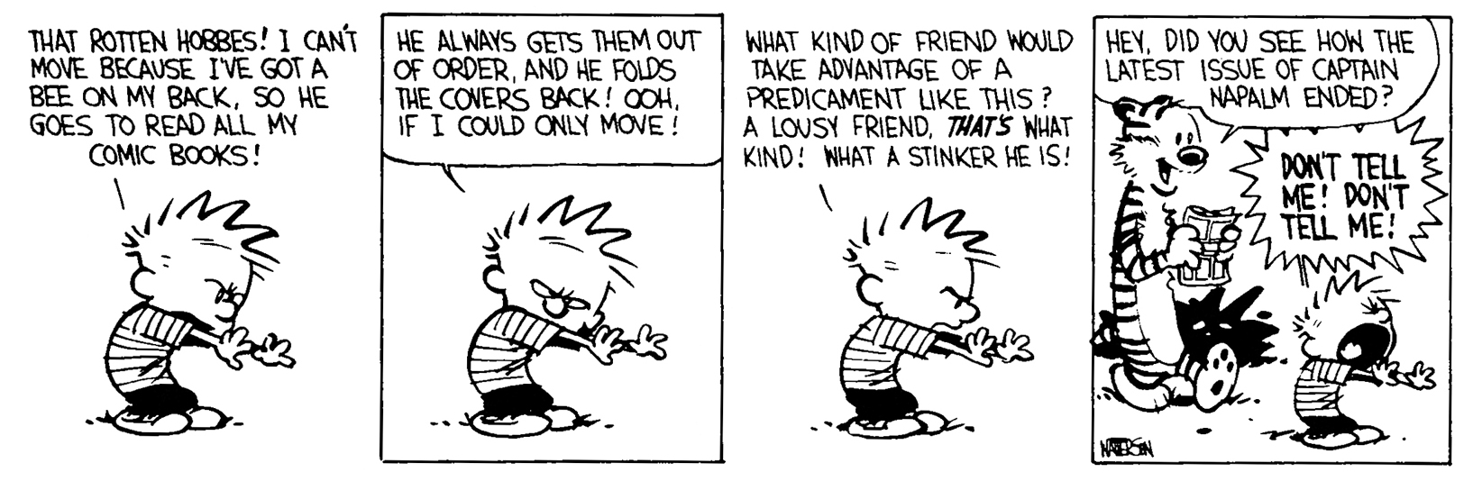 Calvin and Hobbes