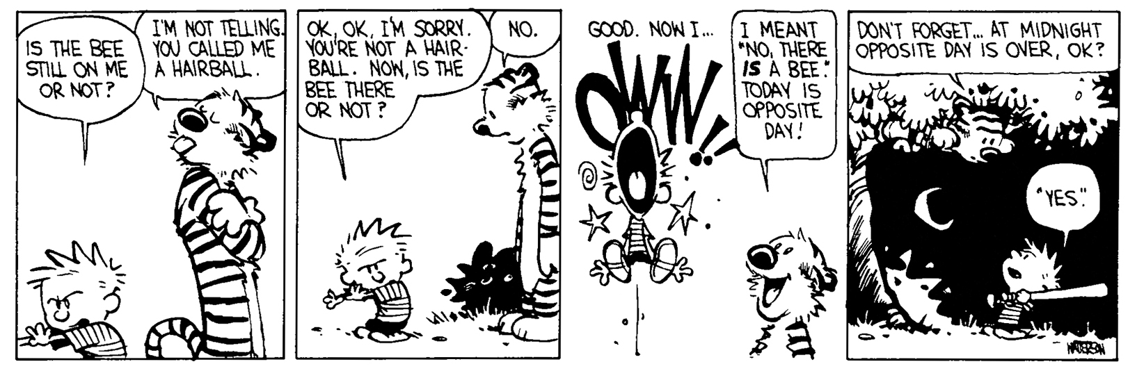 Calvin and Hobbes