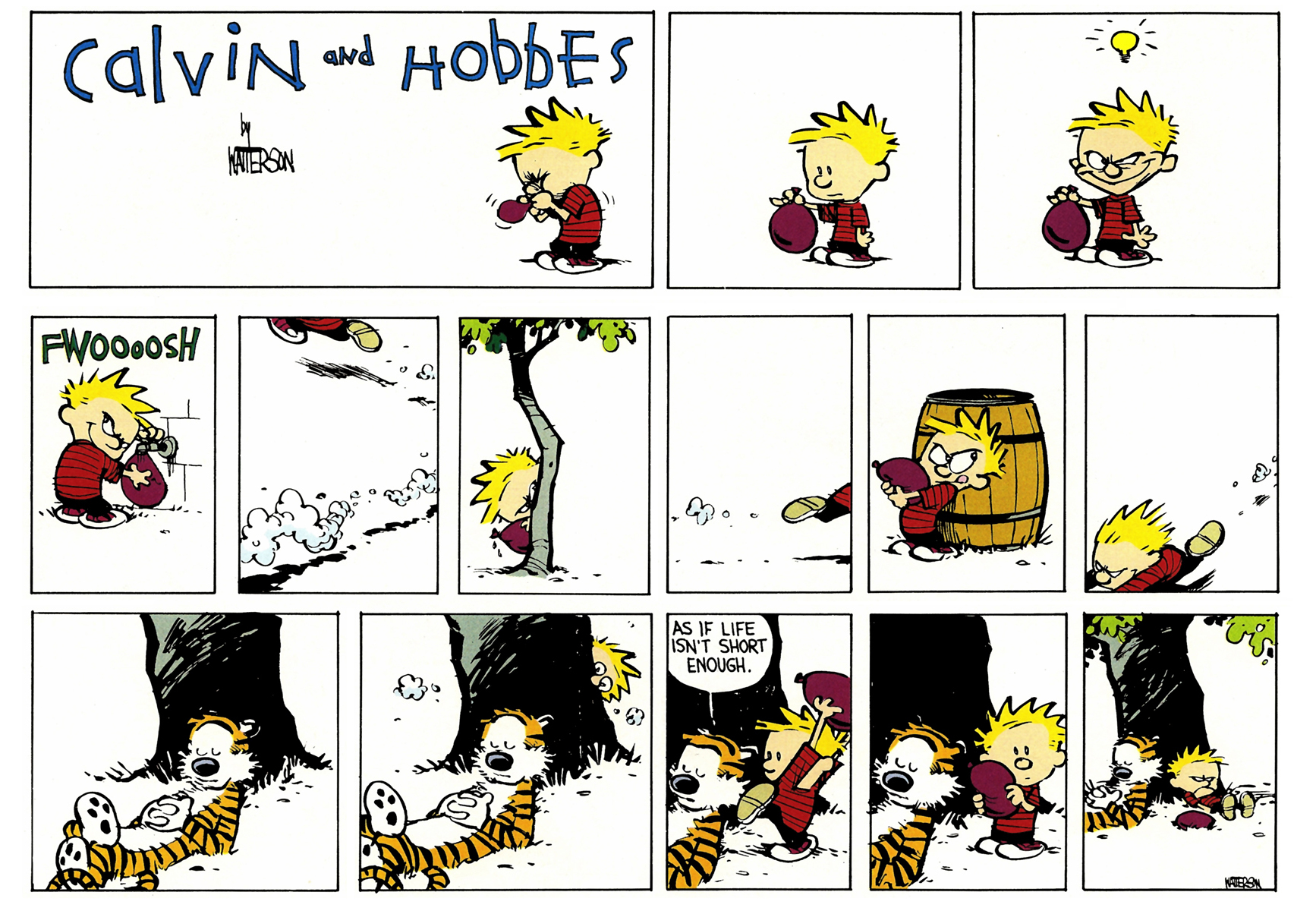 Calvin and Hobbes
