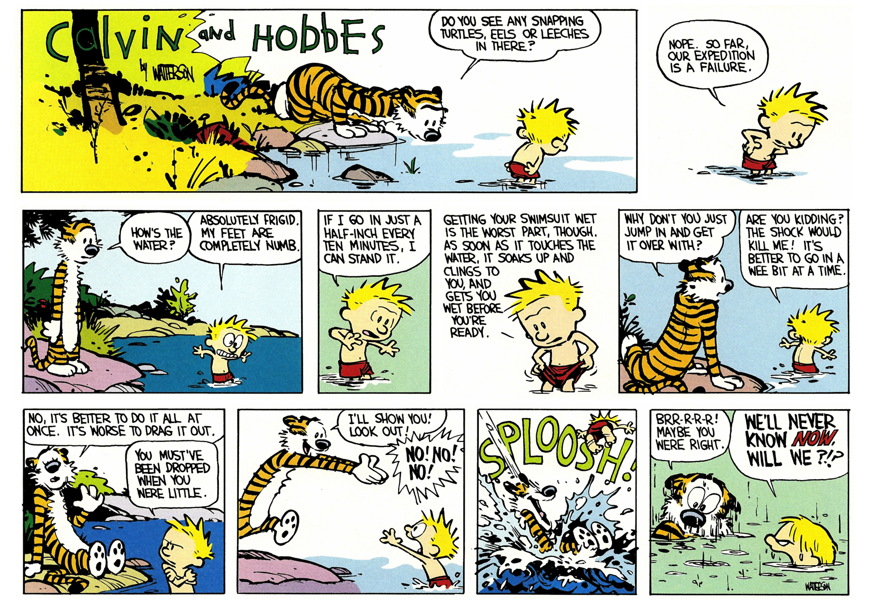 Calvin and Hobbes