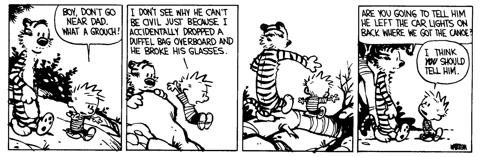 Calvin and Hobbes