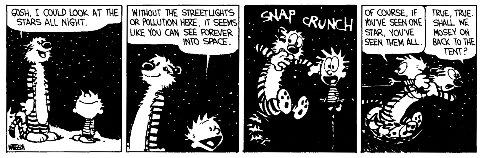 Calvin and Hobbes