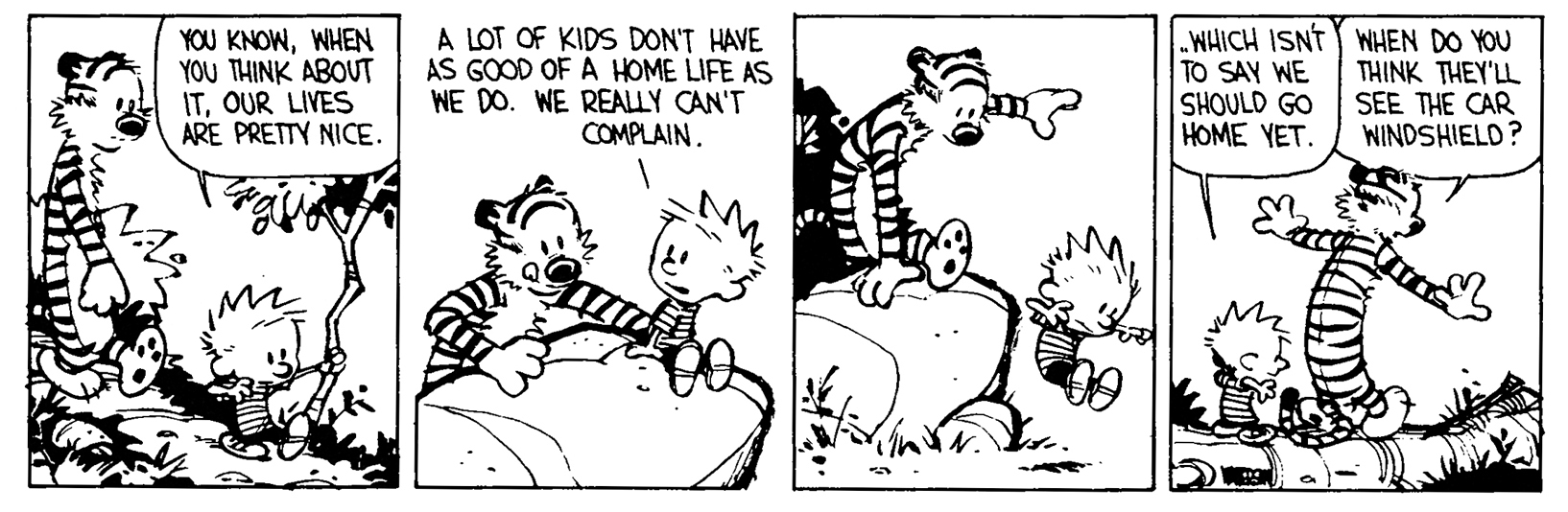 Calvin and Hobbes