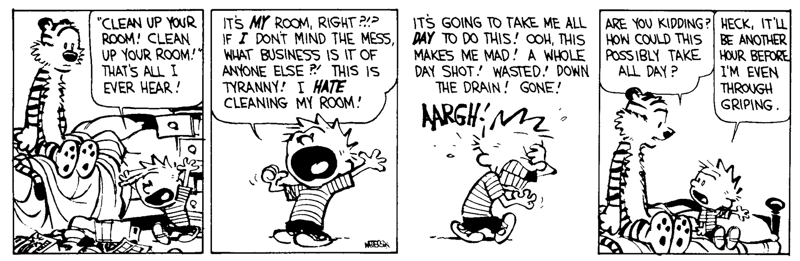 Calvin and Hobbes