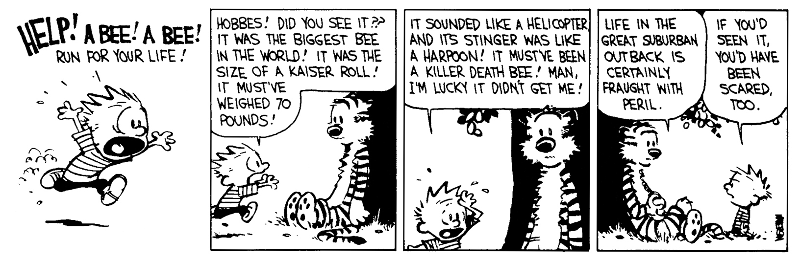 Calvin and Hobbes