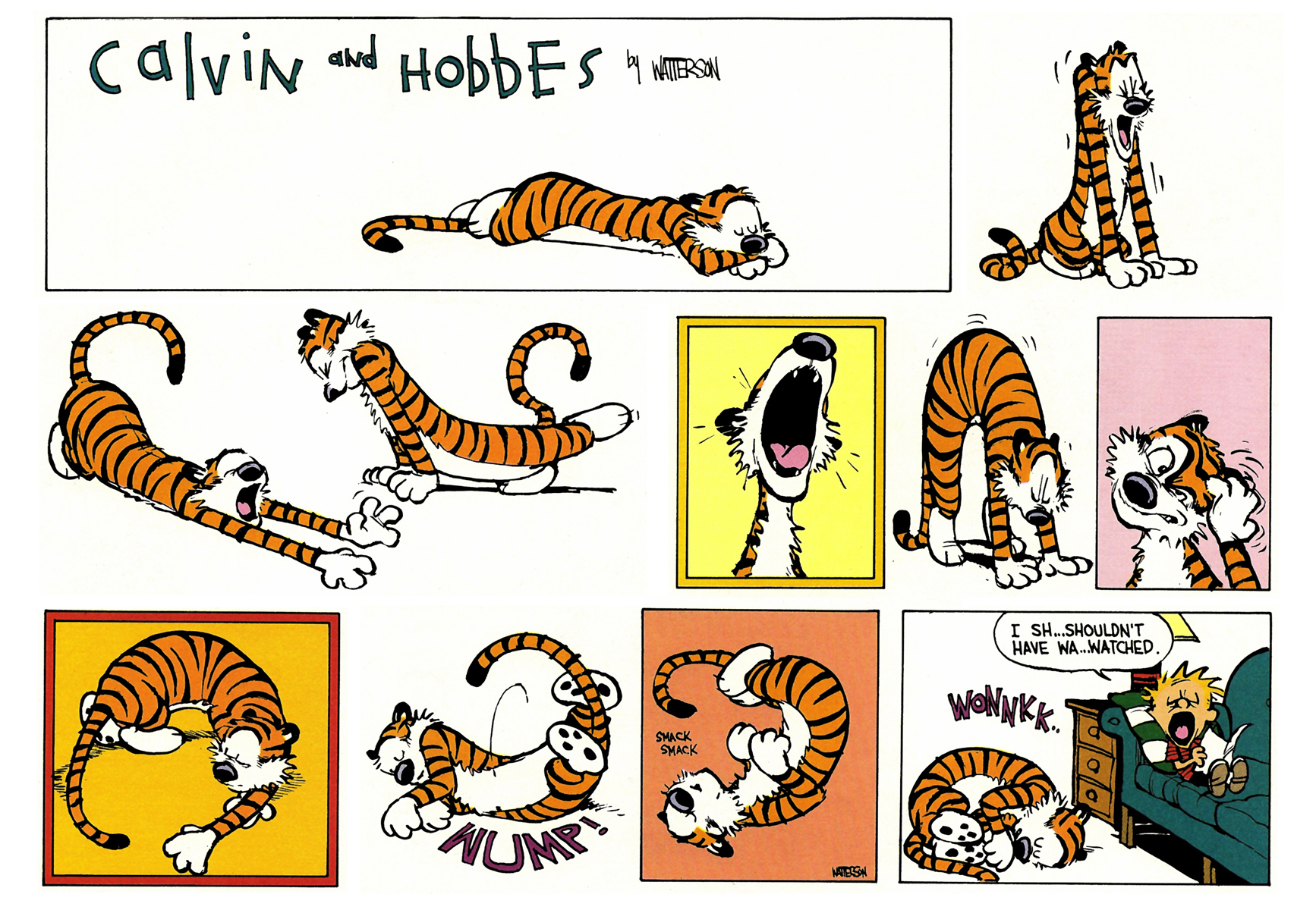 Calvin and Hobbes