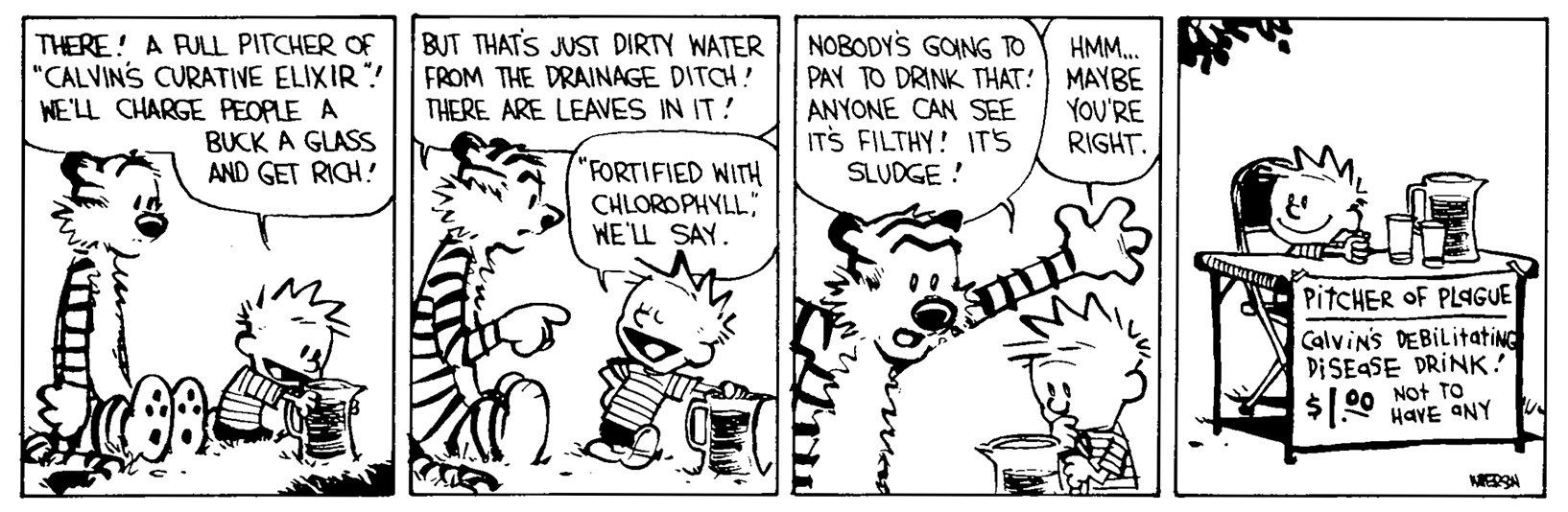 Calvin and Hobbes