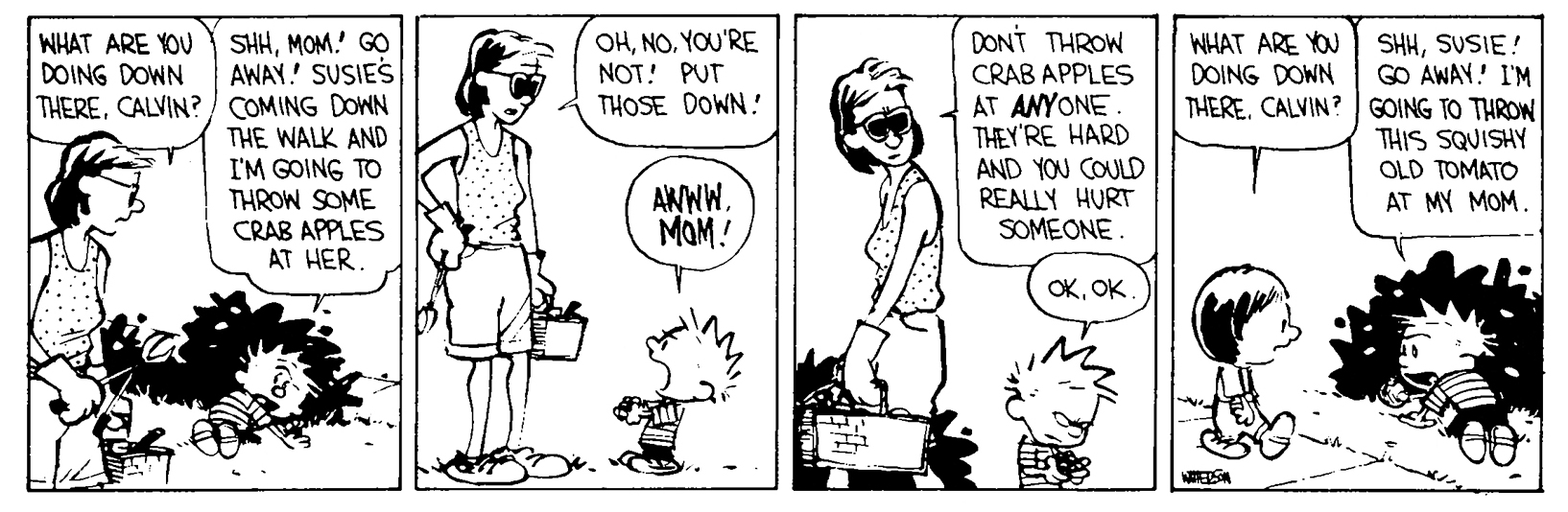 Calvin and Hobbes