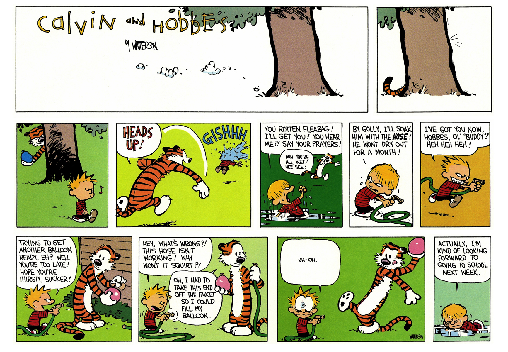 Calvin and Hobbes