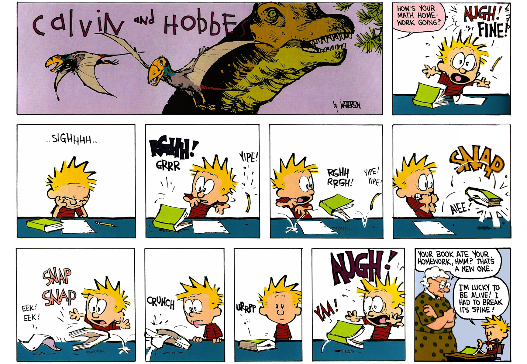 Calvin and Hobbes