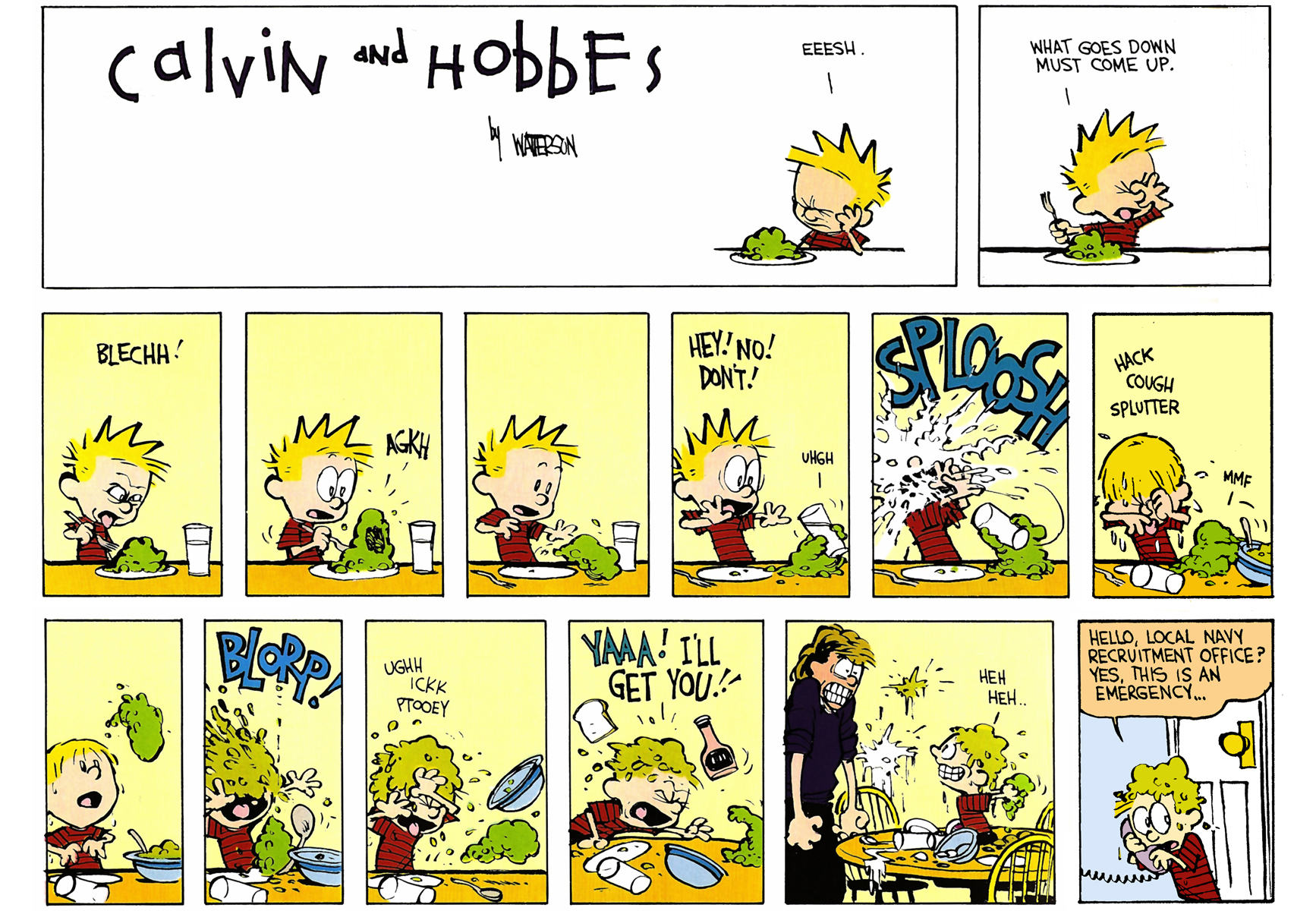 Calvin and Hobbes