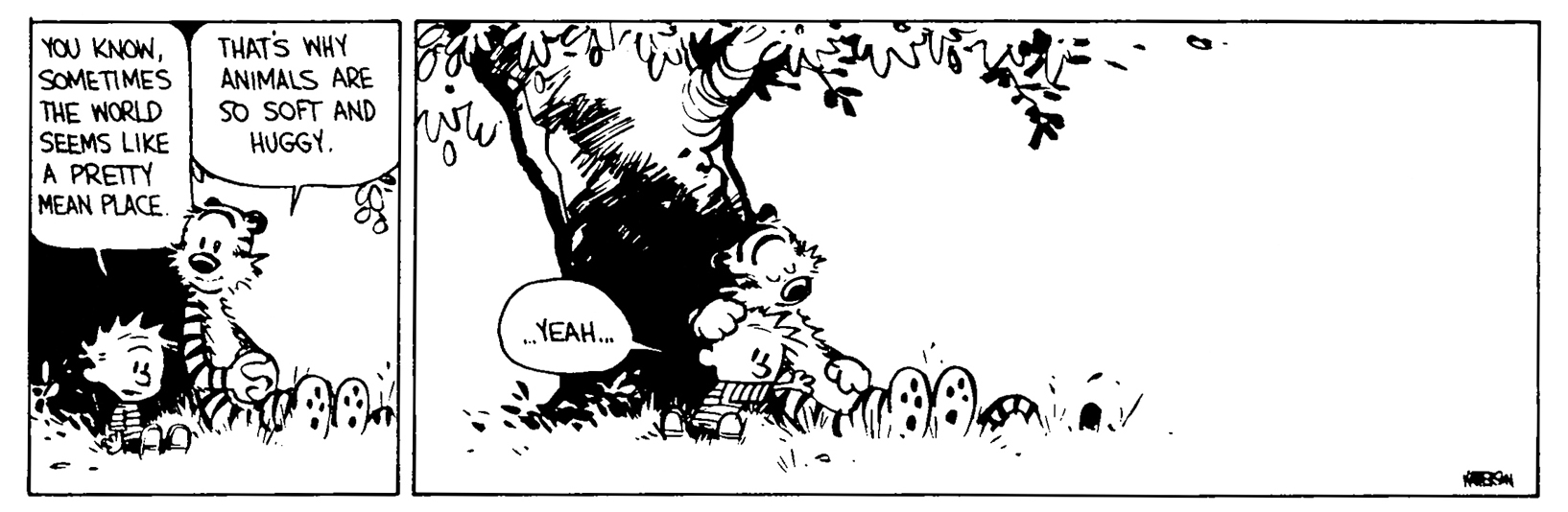 Calvin and Hobbes