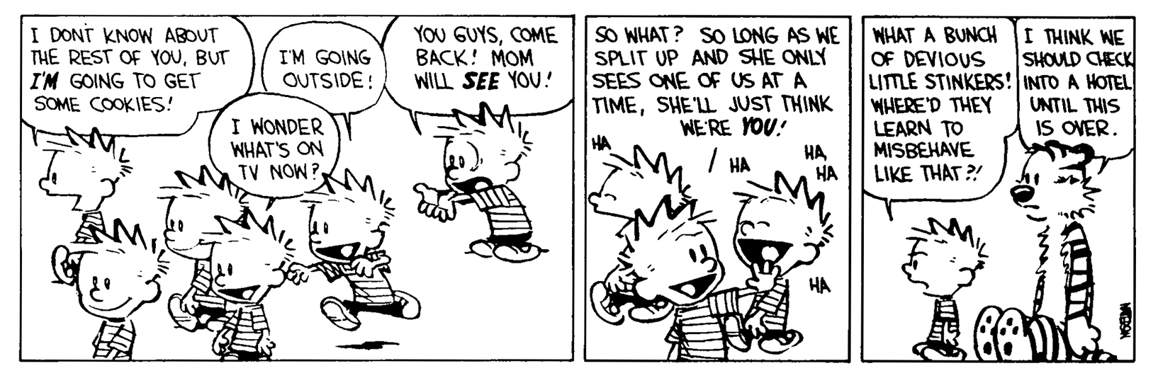 Calvin and Hobbes