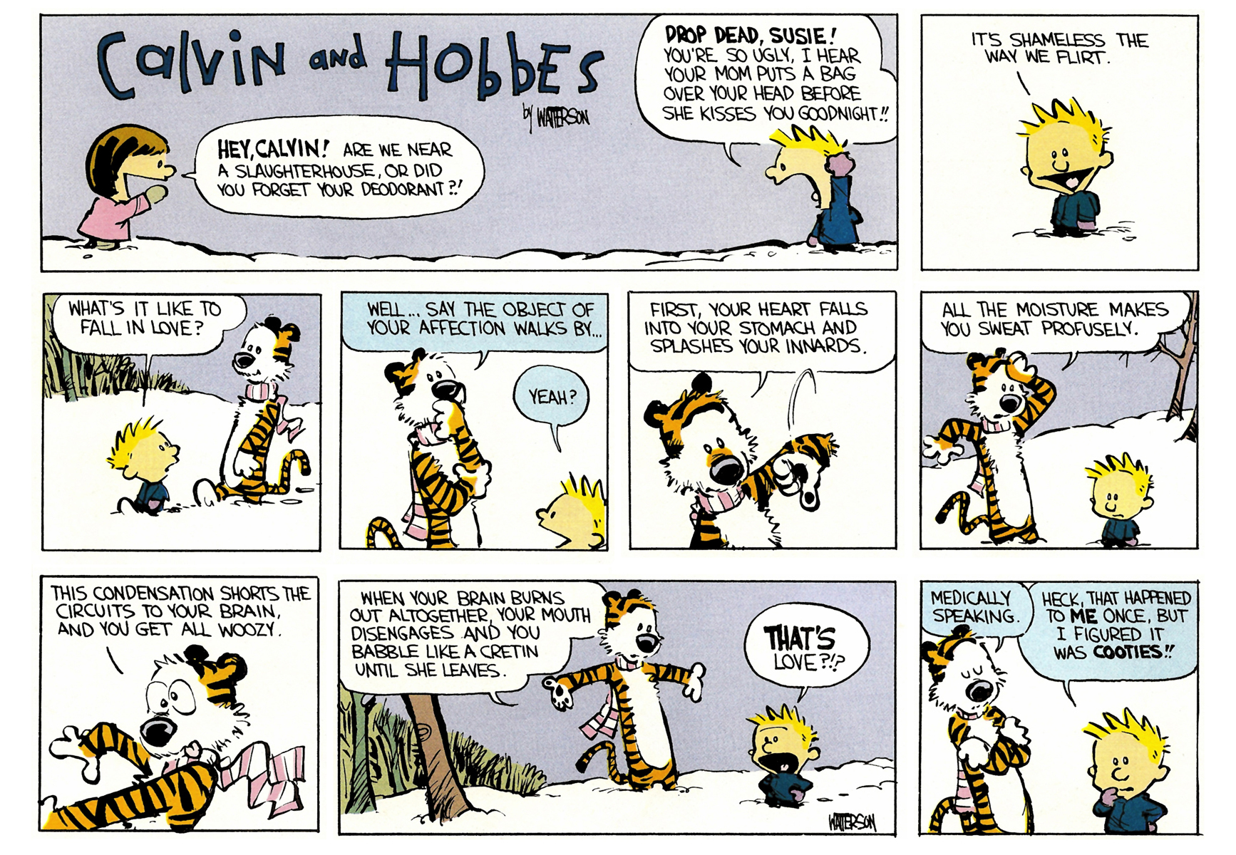 Calvin and Hobbes