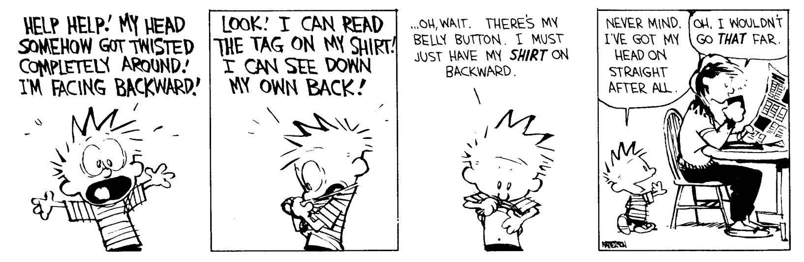 Calvin and Hobbes
