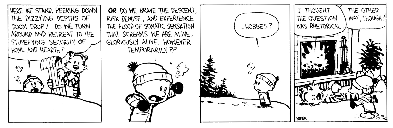 Calvin and Hobbes