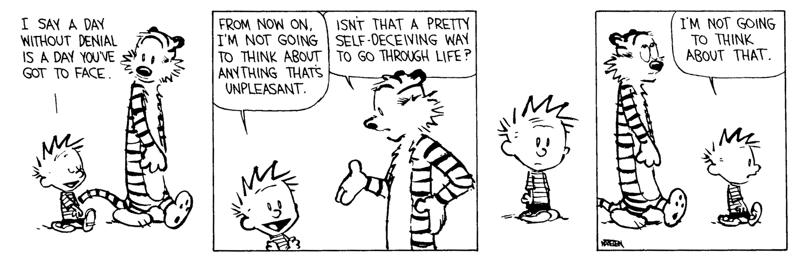 Calvin and Hobbes