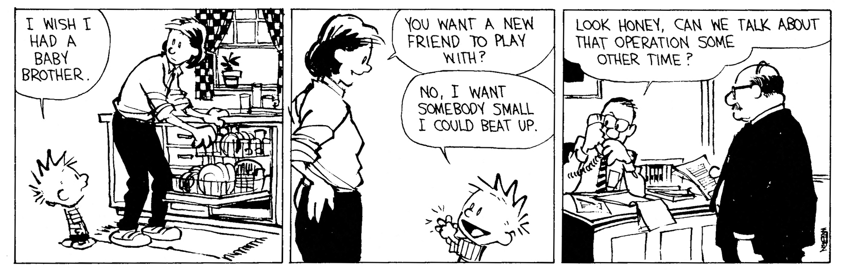 Calvin and Hobbes