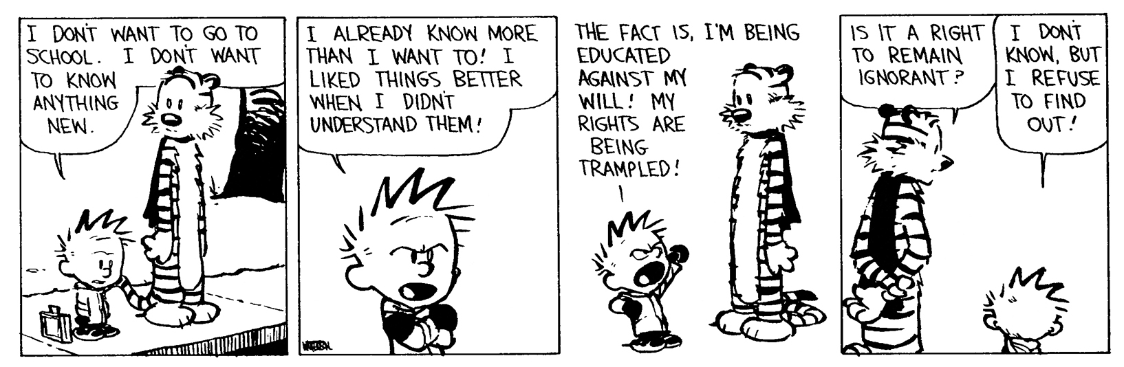 Calvin and Hobbes
