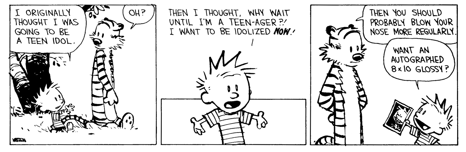 Calvin and Hobbes