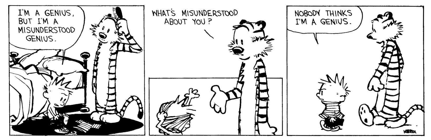 Calvin and Hobbes
