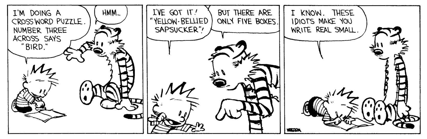 Calvin and Hobbes