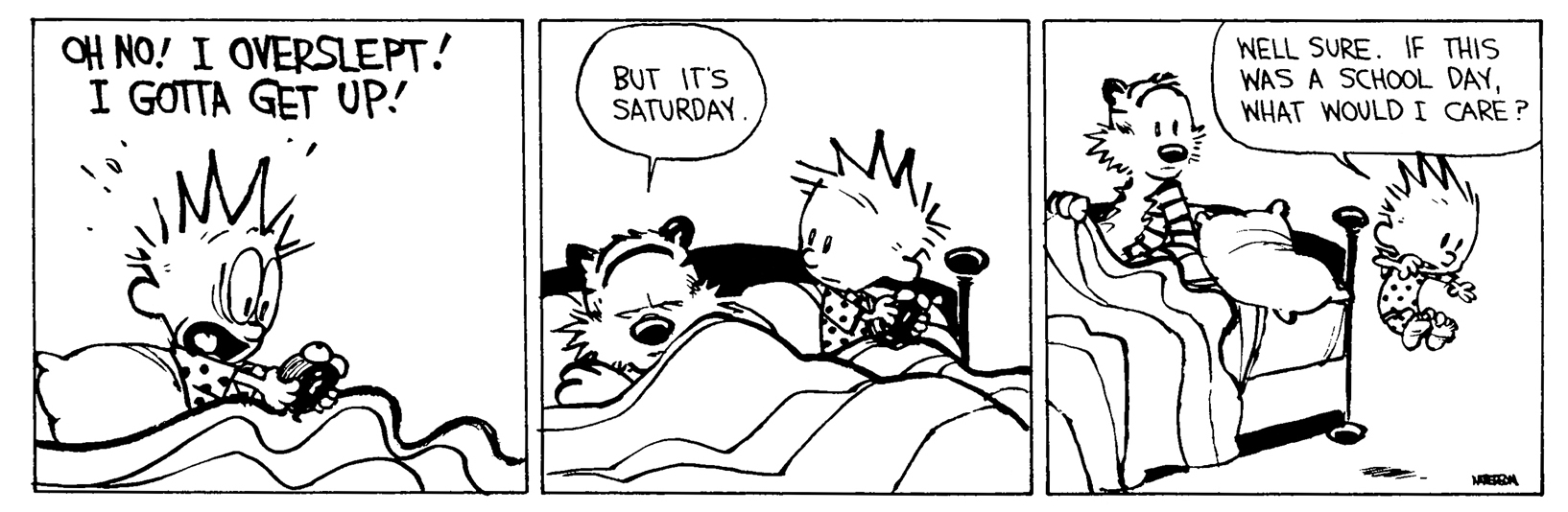 Calvin and Hobbes