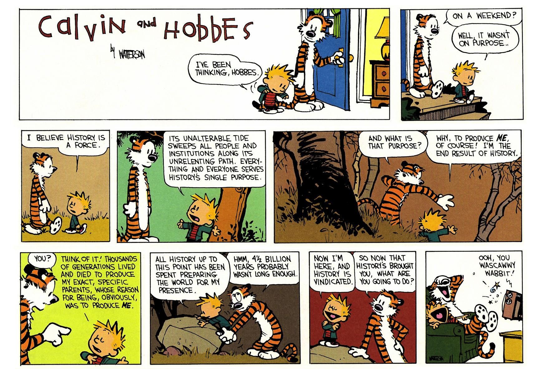 Calvin and Hobbes
