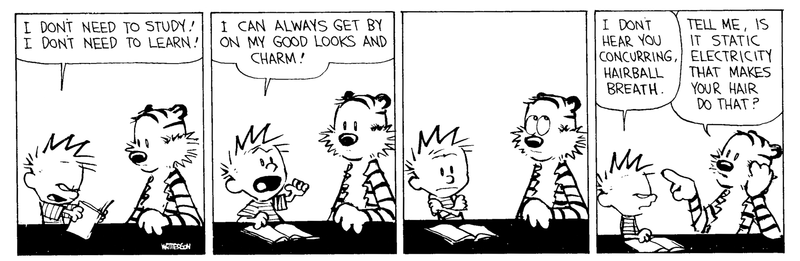 Calvin and Hobbes