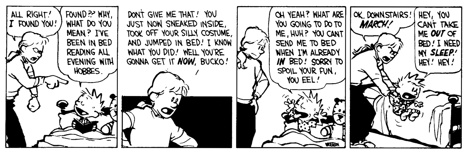 Calvin and Hobbes