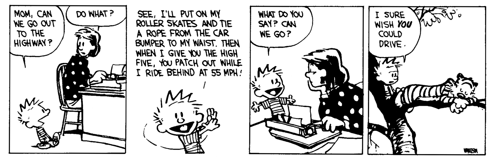 Calvin and Hobbes