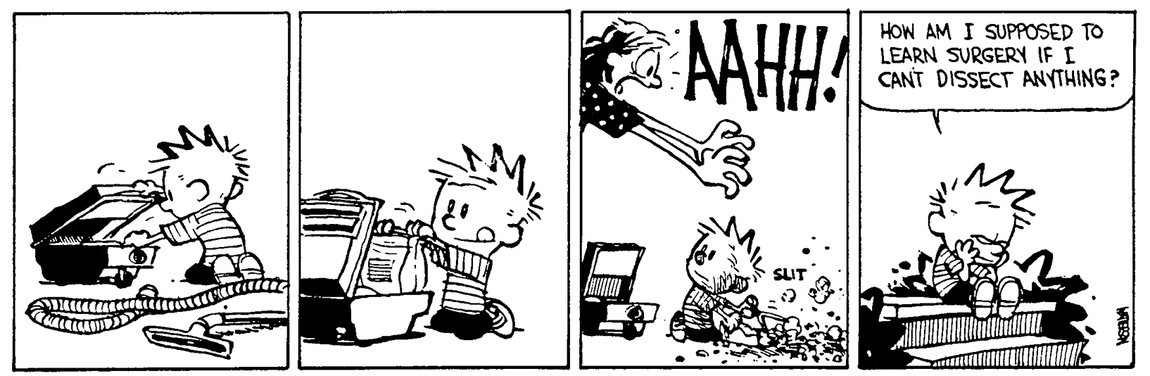 Calvin and Hobbes
