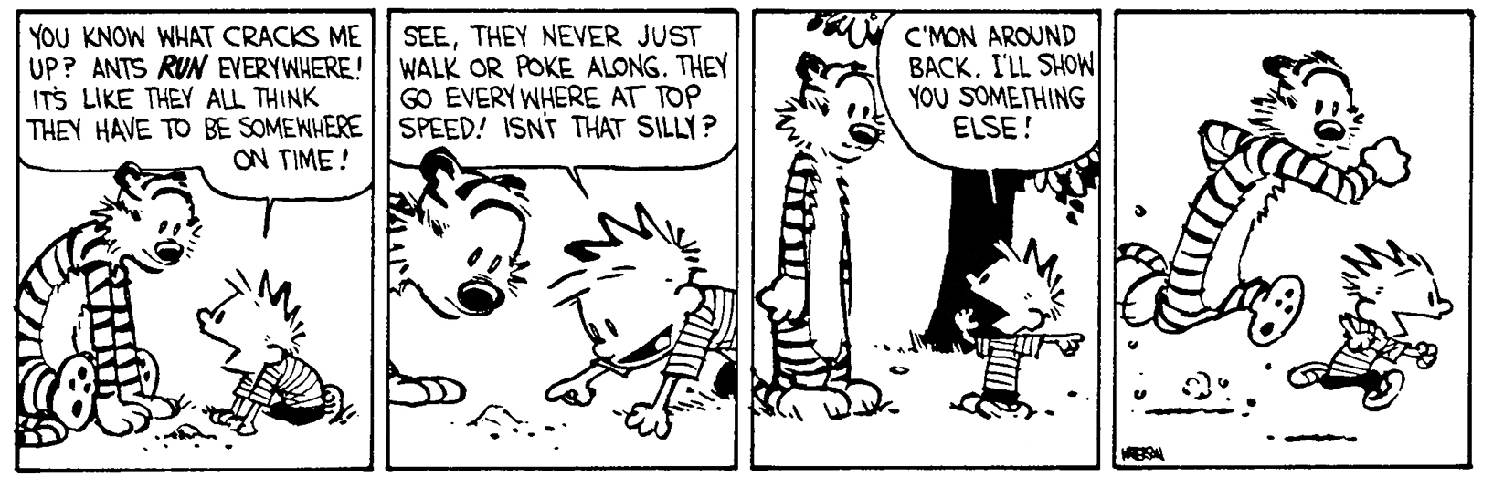 Calvin and Hobbes