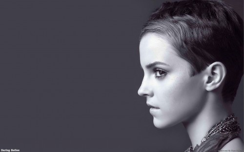Emma Watson Wide Screen Wallpapers (65)