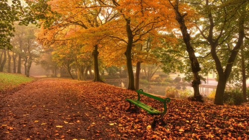 Zlaty-a-smutny-podzim---image4you.cz-047.jpg