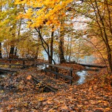 Zlaty-a-smutny-podzim---image4you.cz-065