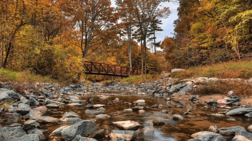 Zlaty-a-smutny-podzim---image4you.cz-066.jpg