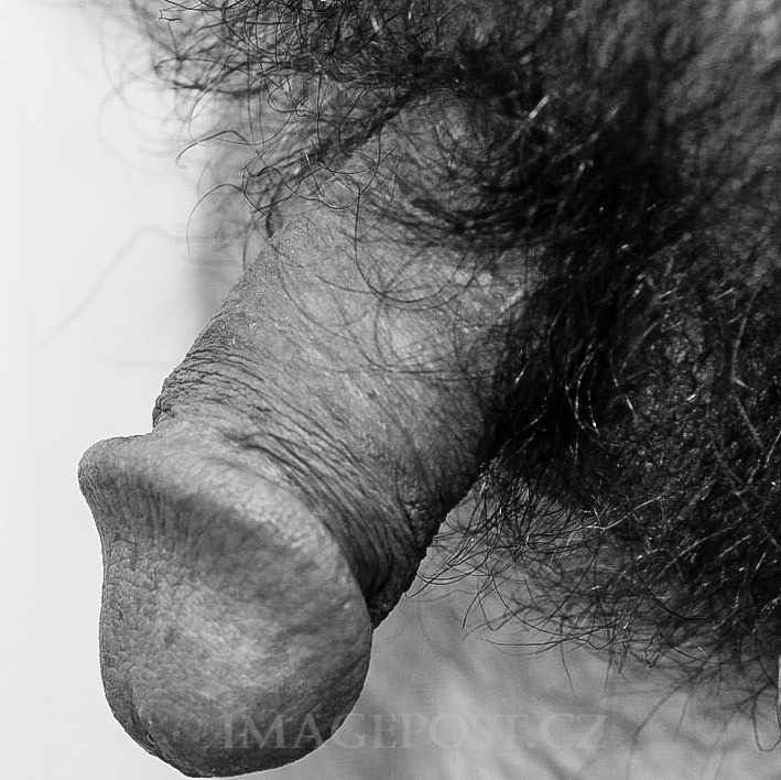 tumblr pgq495DQdy1qly9sd 1280