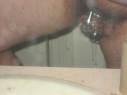 IMG_0812.jpg