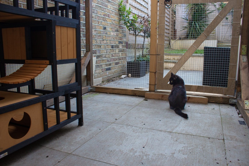 Jinx sitting in his prison