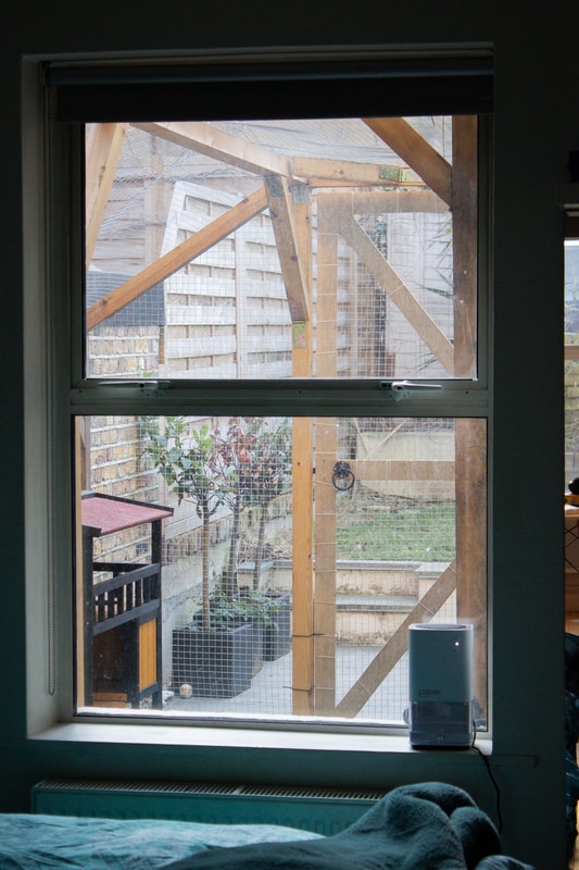 The view of the catio from our bedroom