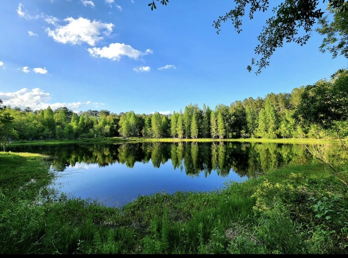   78th<br>White Springs, FL