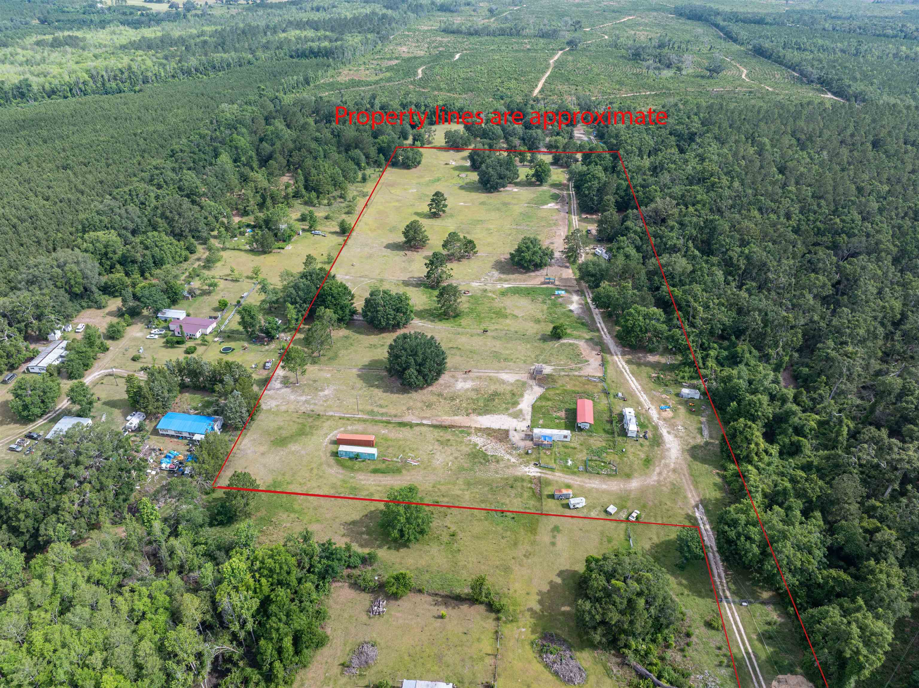 981  Radford Denson<br>Greenville, FL