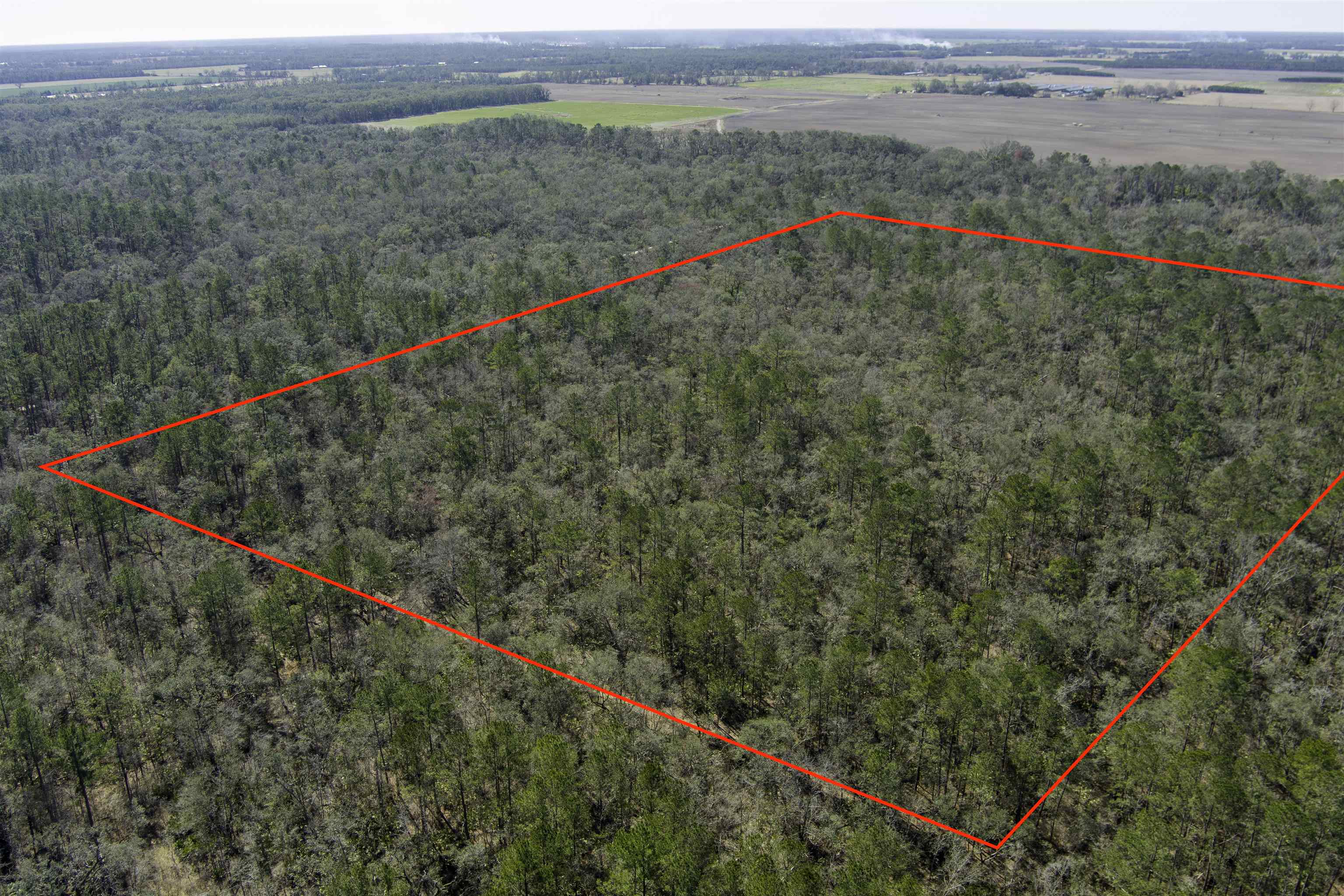 0  CR 292<br>Mayo, FL