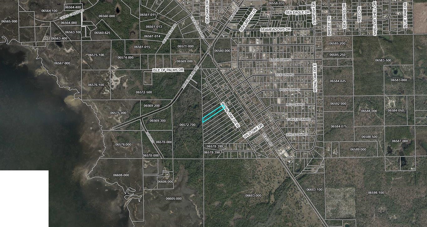 16539  Royal Oak<br>Keaton Beach, FL