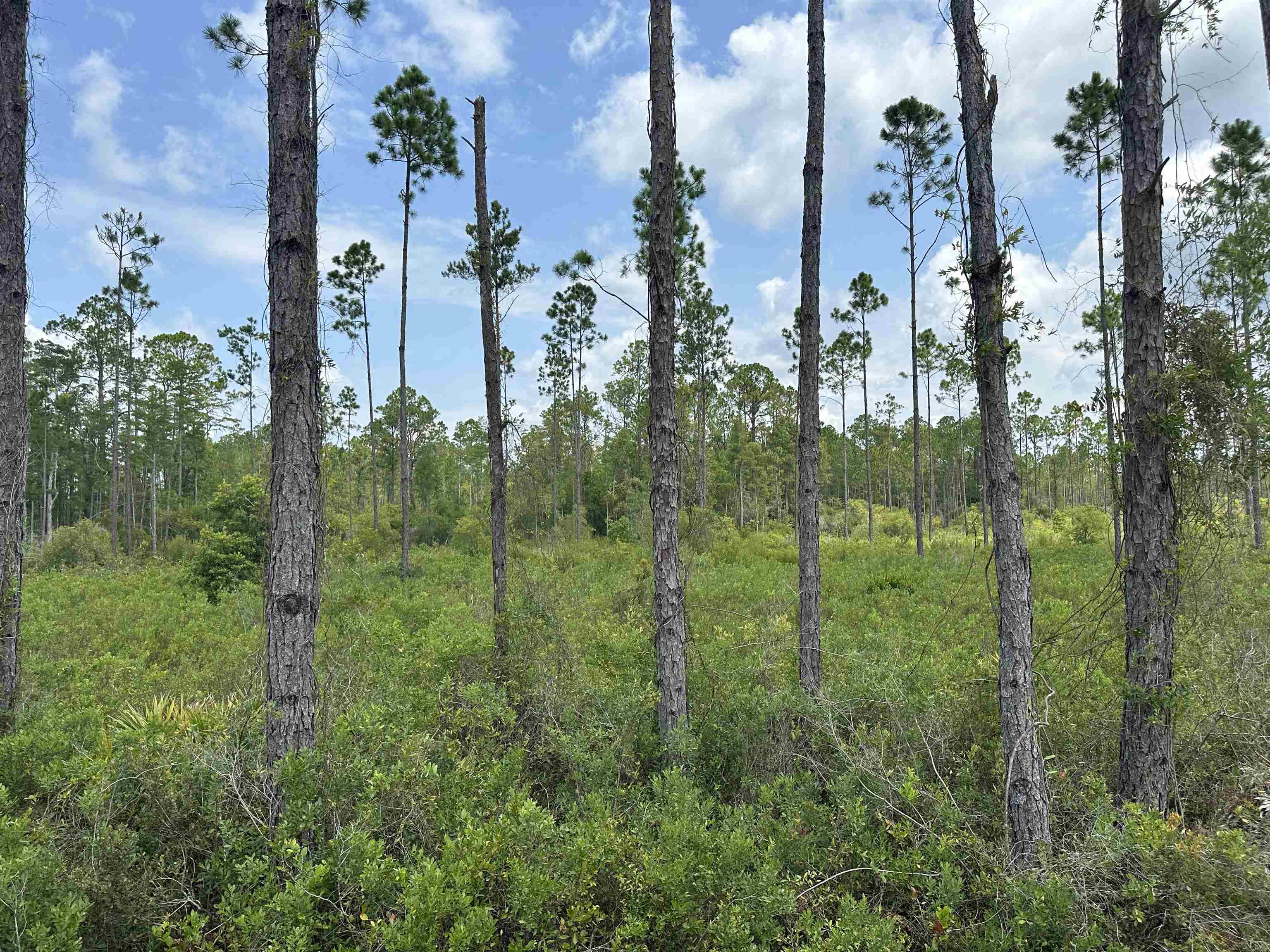 90  Circle Block Loop<br>Perry, FL