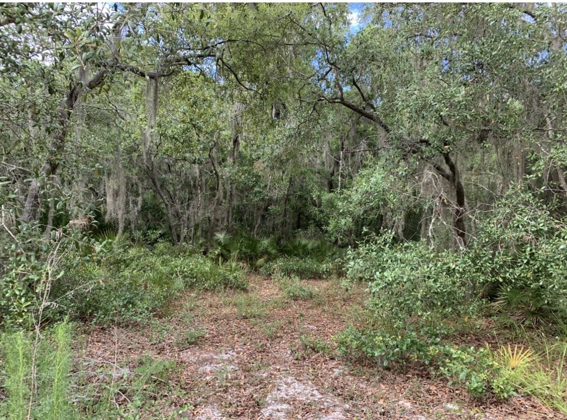 15380 Fiddlers<br>Perry, FL